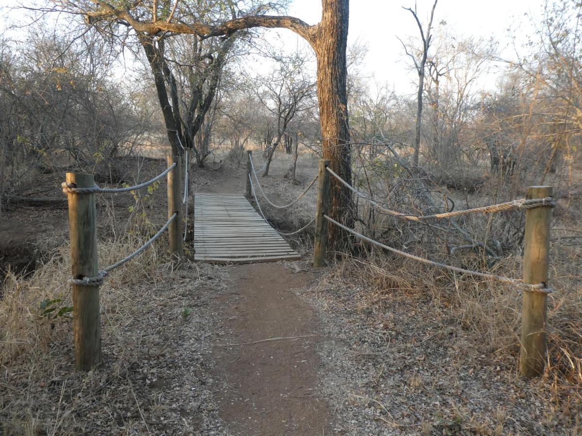 Gem In The Bush Lodge Hoedspruit Exterior foto