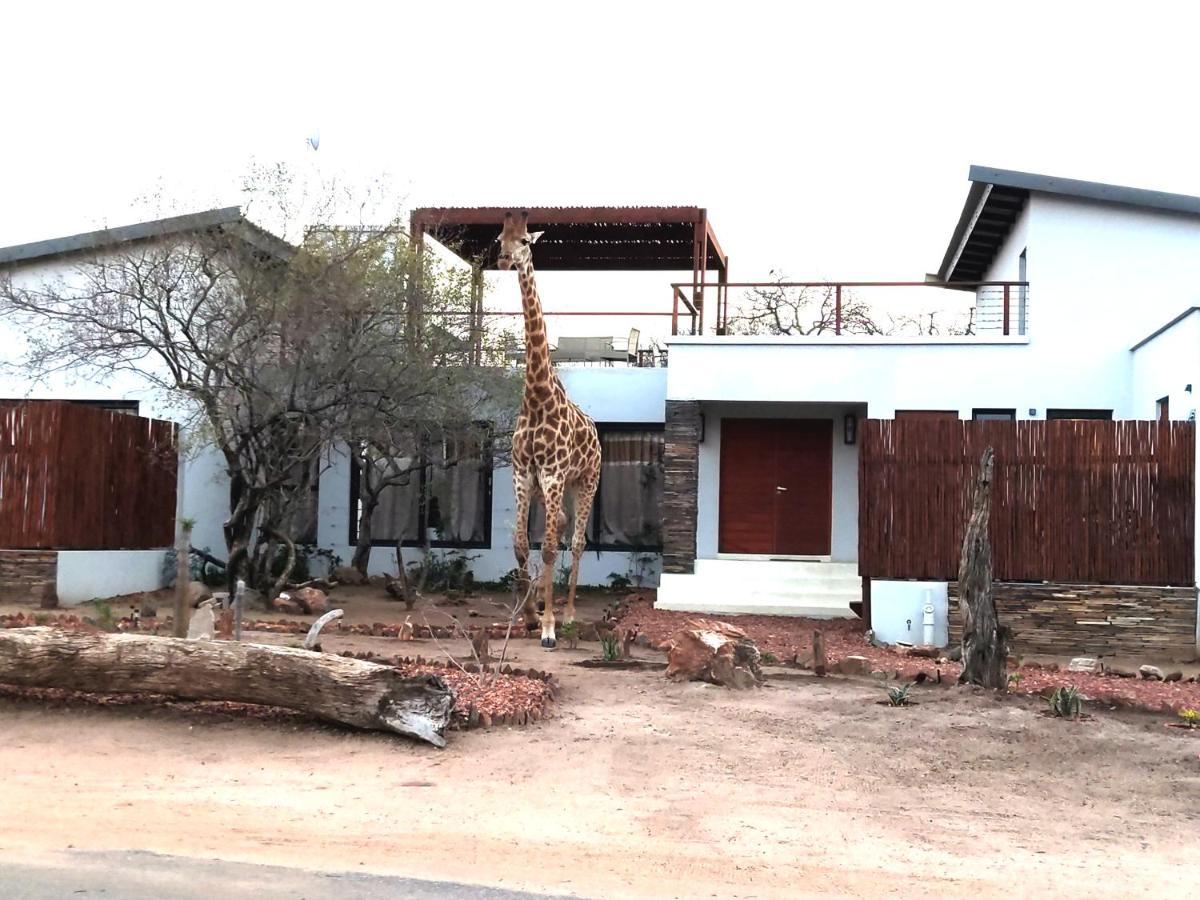 Gem In The Bush Lodge Hoedspruit Exterior foto