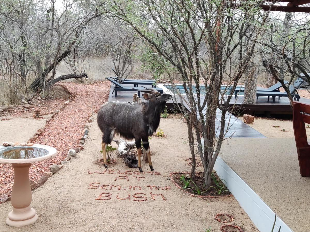 Gem In The Bush Lodge Hoedspruit Exterior foto