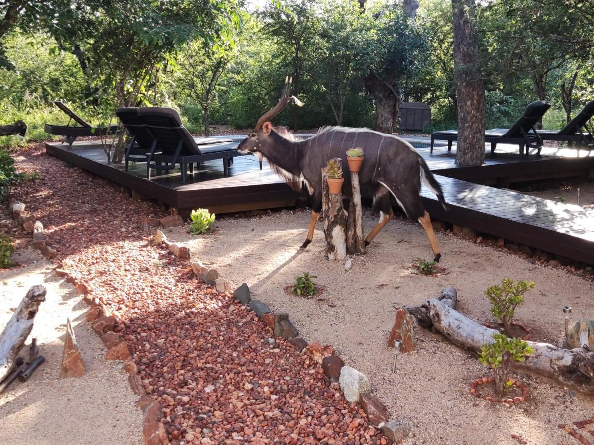 Gem In The Bush Lodge Hoedspruit Exterior foto