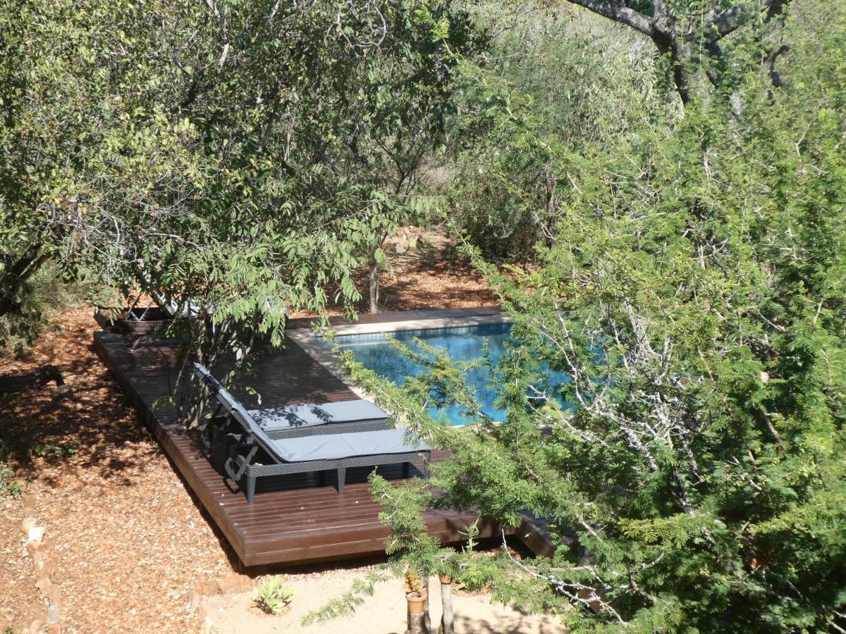 Gem In The Bush Lodge Hoedspruit Exterior foto